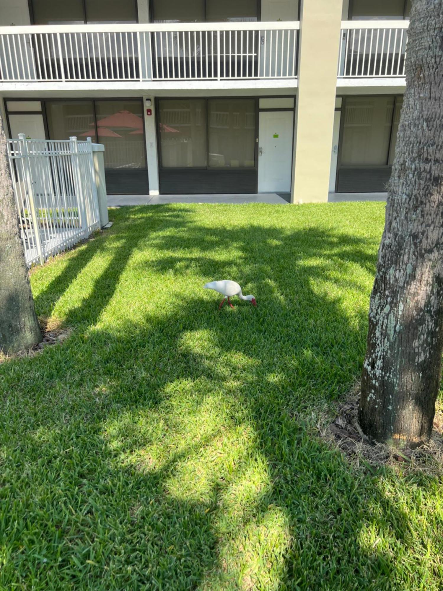 Hotel Room Near Disney 4 People Kissimmee Exterior foto